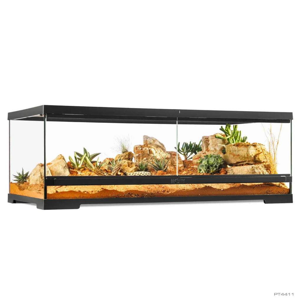 Pro Terrarium
